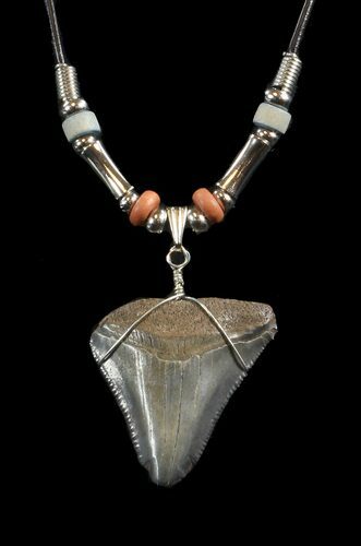 Fossil Megalodon Tooth Necklace #43064